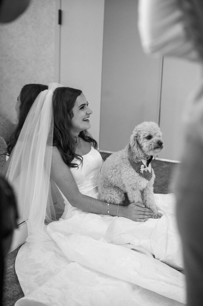 bride holding dog